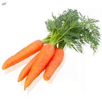 Carrot