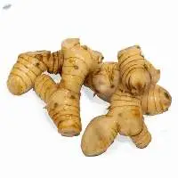 Galangal