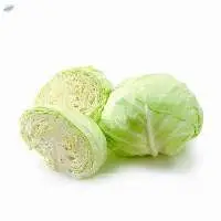 Green Cabbage