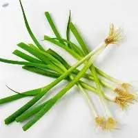 Green Onion