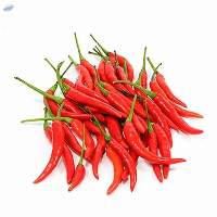 Hot Pepper Chilly