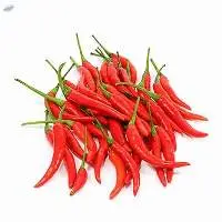 Hot Pepper Chilly