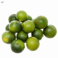 Kumquat