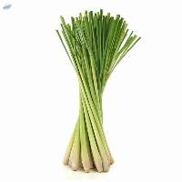 Lemon Grass