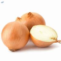 Onion