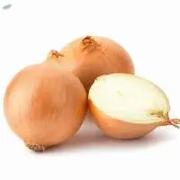 Onion