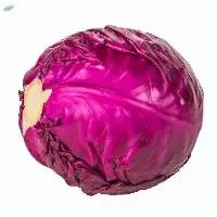Purple Cabbage
