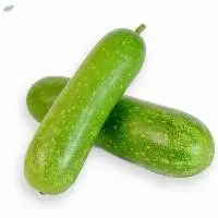 Squash