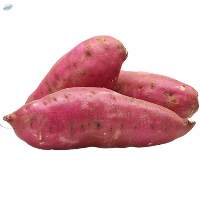 Sweet Potato