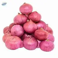 Fresh Nashik Onion