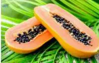 Papaya