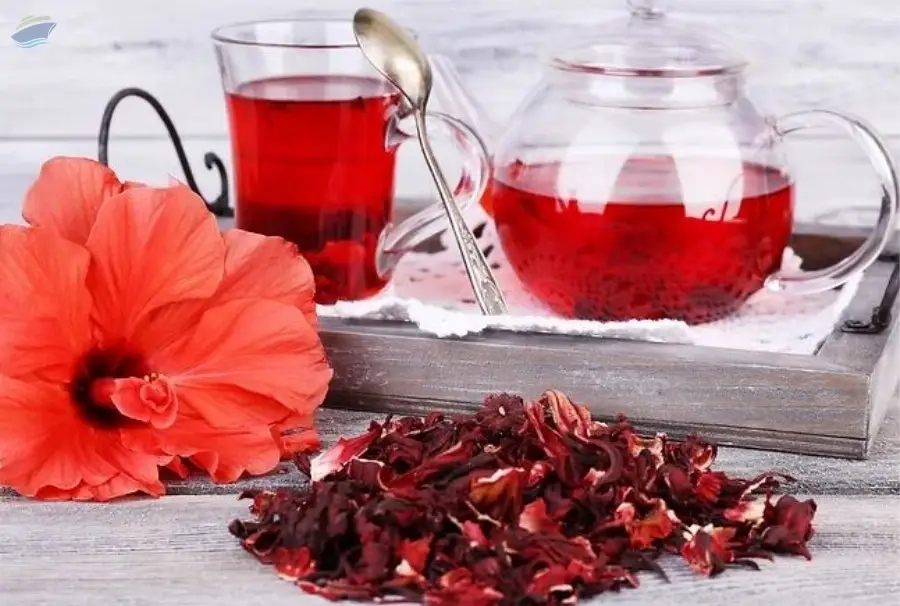Hibiscus Tea