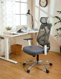 Mesh Executive Office Chair