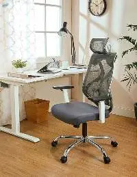 Mesh Executive Office Chair
