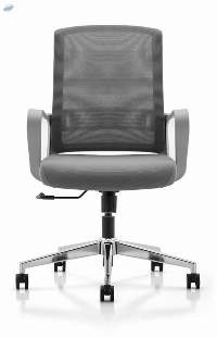 NXTGEN Misuraa Imported Shadow Chair