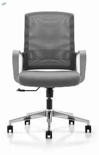 NXTGEN Misuraa Imported Shadow Chair