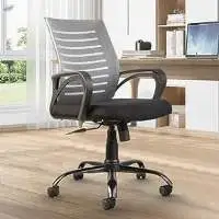 Atoz Back Ergonomic Office Chair