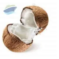 Coconut Milk