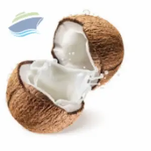 Coconut Milk