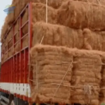 Coco Fibre