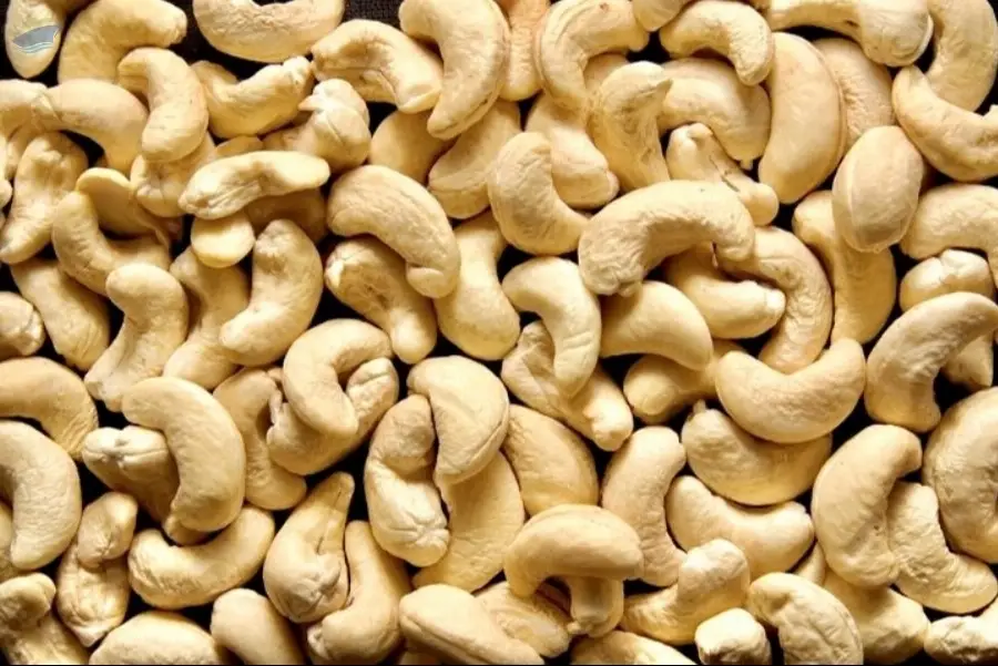 Cashew nuts