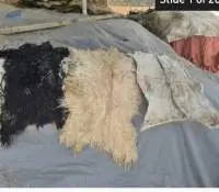 Dry Salted Goat Skin
