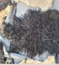 Dry Salted Sheep Skin