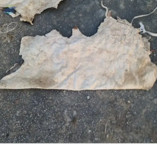 Dry Salted Cow Hide