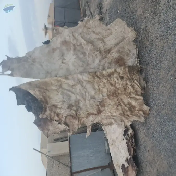 Sun Dry Cow Hide (Unsalted)