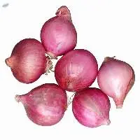 Red Onion