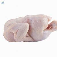 Halal Frozen Chicken