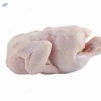 Halal Frozen Chicken