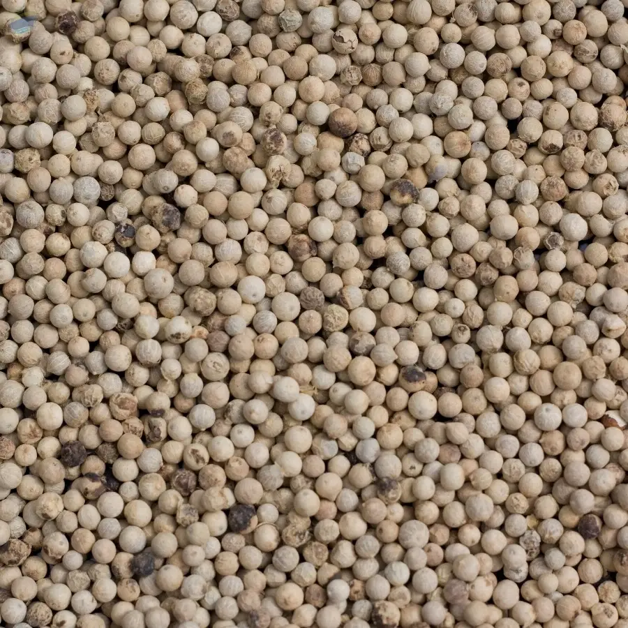 White Pepper