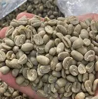 Arabica Aceh Coffee Beans (Grade 1)