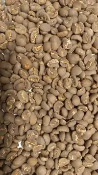 Gayo Coffee bean (Grade: Premium)