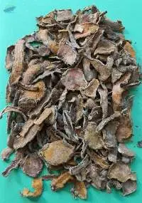 Dried Curcuma Turmeric