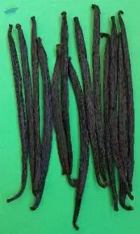 Vanilla Bean (Grade: Premium)
