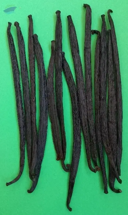 Vanilla Bean (Grade: Premium)