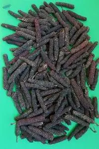 Long Pepper