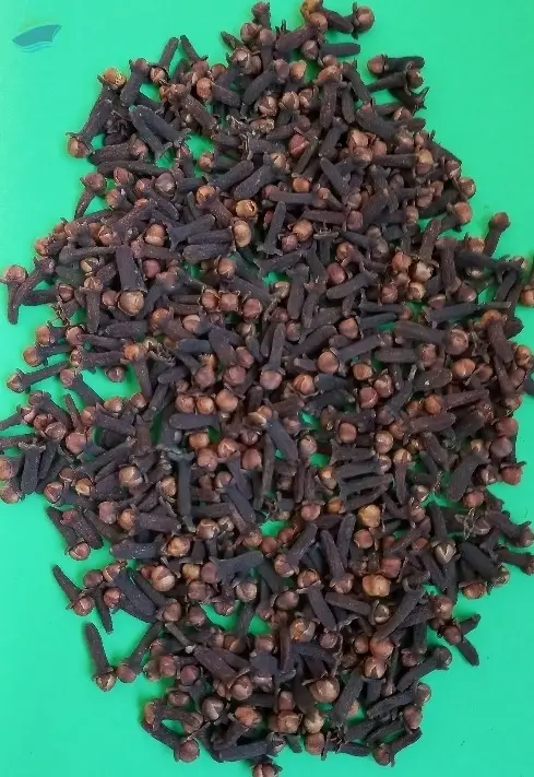 Dried Clove
