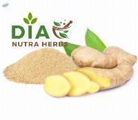 Ginger Extract -  Olieoresin