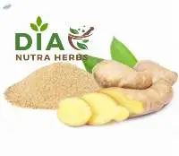 Ginger Extract -  Olieoresin