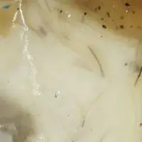 Oleo Pine Resin
