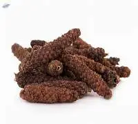Long Pepper