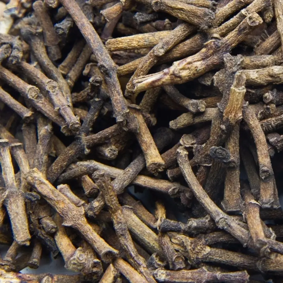 Clove Stem