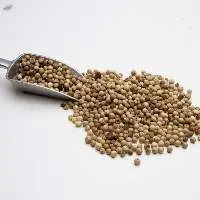 Muntok White Pepper