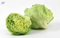 Lettuce Iceberg