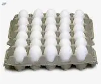 Fresh Chicken Eggs