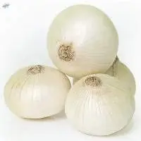 White Onion