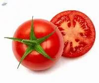 Hydroponic Tomato (4129)